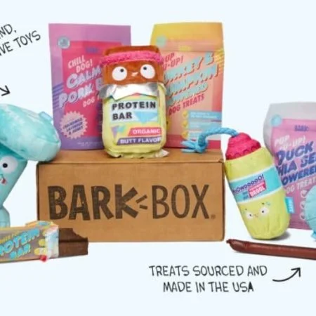 barkbox 1
