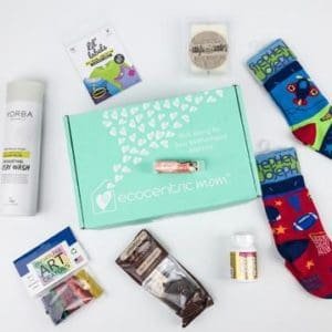 ecocentric mom december_360x