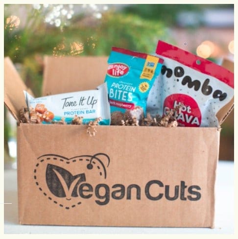 vegan cuts snack box sneak peek jan 2019