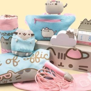 Pusheen Subscription Box