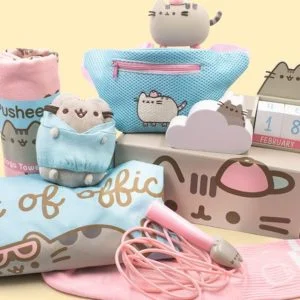 Pusheen Subscription Box
