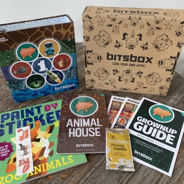 bitsbox december 2019 review