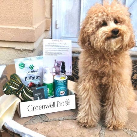 greenwell pet dog subscription
