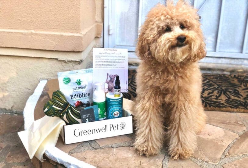 greenwell pet dog subscription