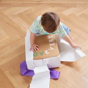 Lovevery Toy Subscription Box