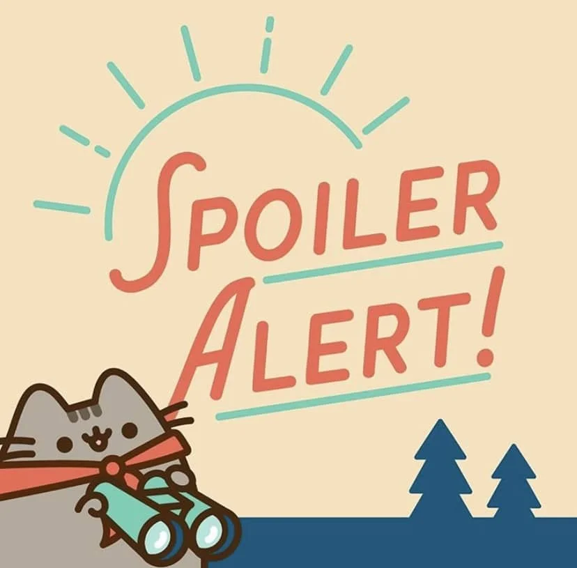 pusheen box summer 2020 spoilers