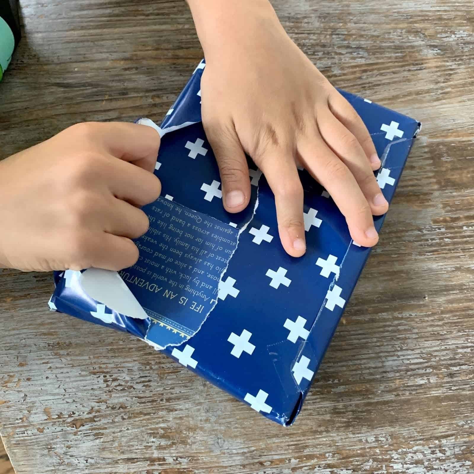 Bookroo September 2020 Chapter Book Box Review + Coupons - Subboxy
