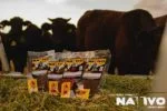 Nativo-Beef-Jerky2