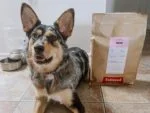 Tailored-Pet-Nutrition2