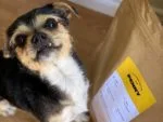 Tailored-Pet-Nutrition3
