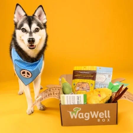 WagWell-Box2