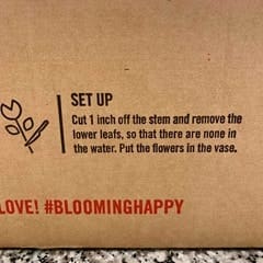 bloomsybox-november-2020-review-autumn-roses - 10