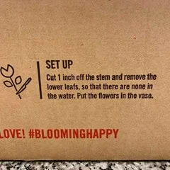 bloomsybox-november-2020-review-autumn-roses - 10