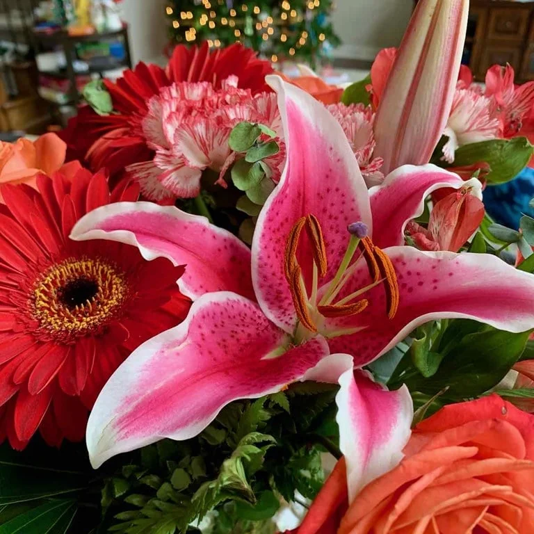 bloomsybox-november-2020-review-autumn-roses - 2 (3)