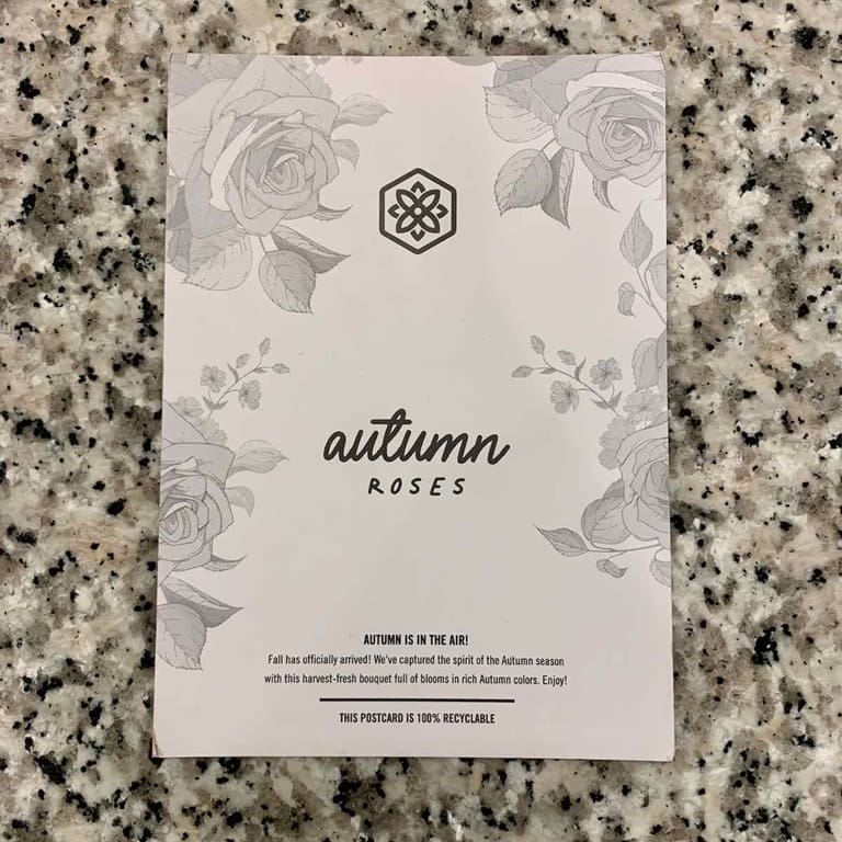 bloomsybox-november-2020-review-autumn-roses - 4