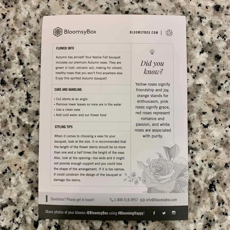 bloomsybox-november-2020-review-autumn-roses - 5
