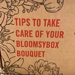 bloomsybox-november-2020-review-autumn-roses - 8
