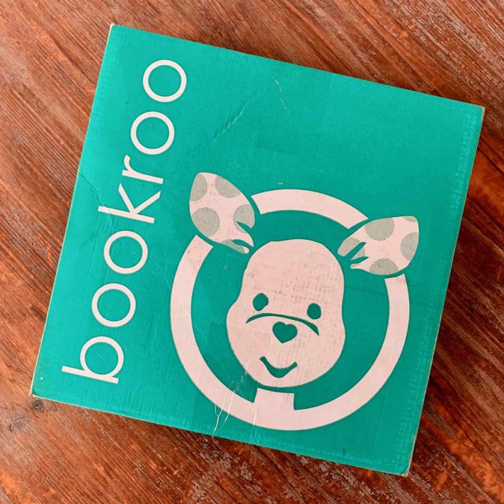 bookroo november 2020 review chapter book club1