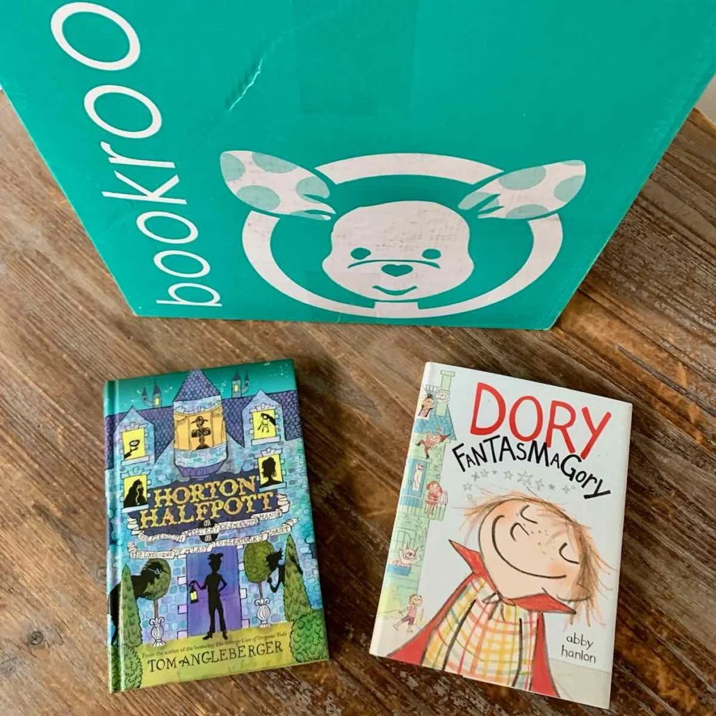 bookroo november 2020 review chapter book club11