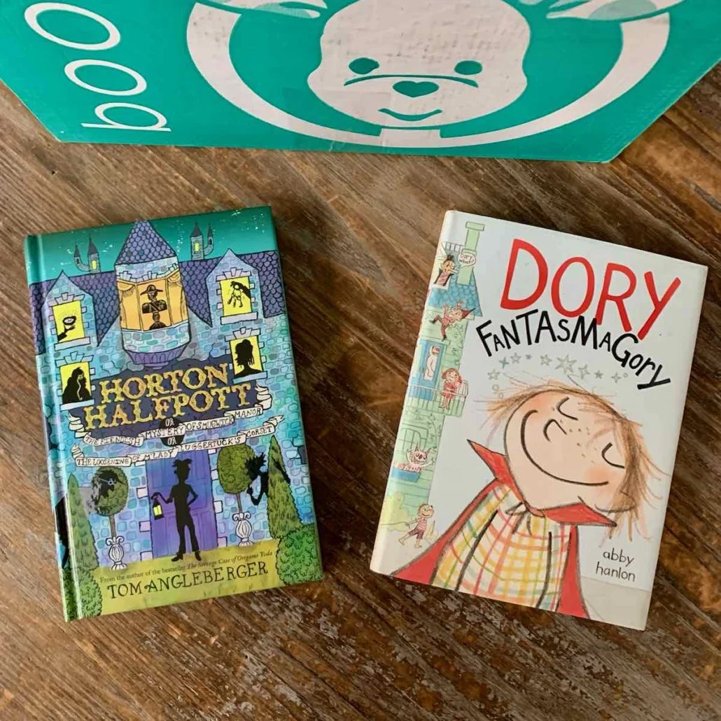 bookroo november 2020 review chapter book club12