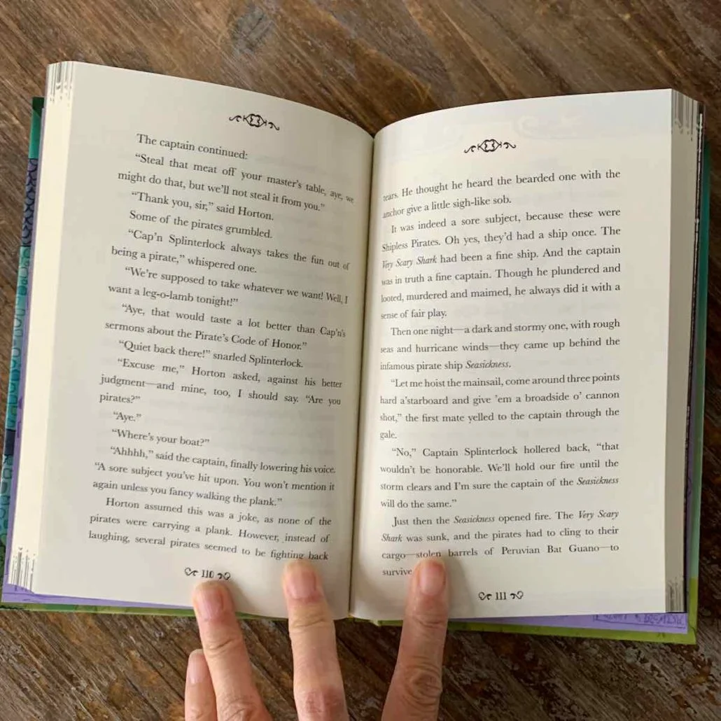 bookroo november 2020 review chapter book club7