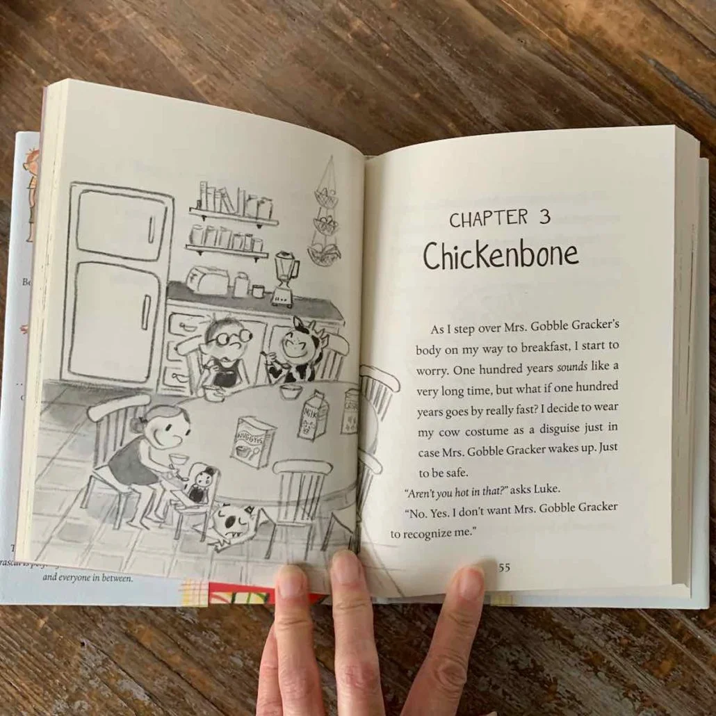 bookroo november 2020 review chapter book club9