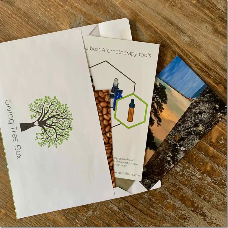 giving-tree-box-2020-seasonal-review - 4
