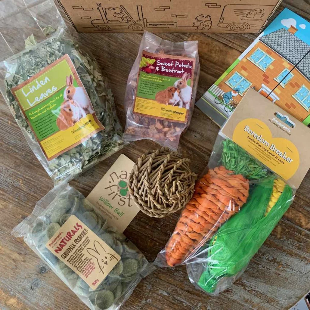 piggie box november 2020 review 10