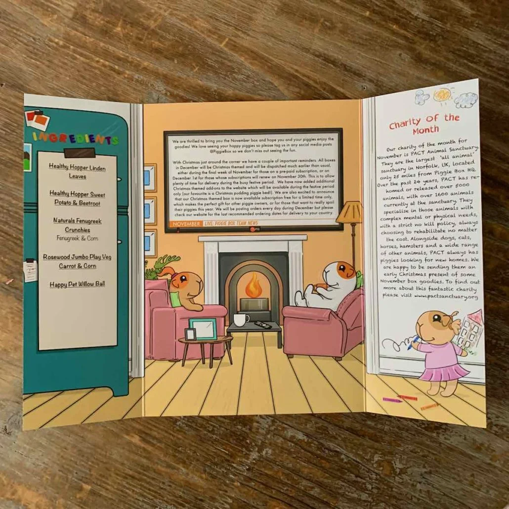 piggie box november 2020 review 4