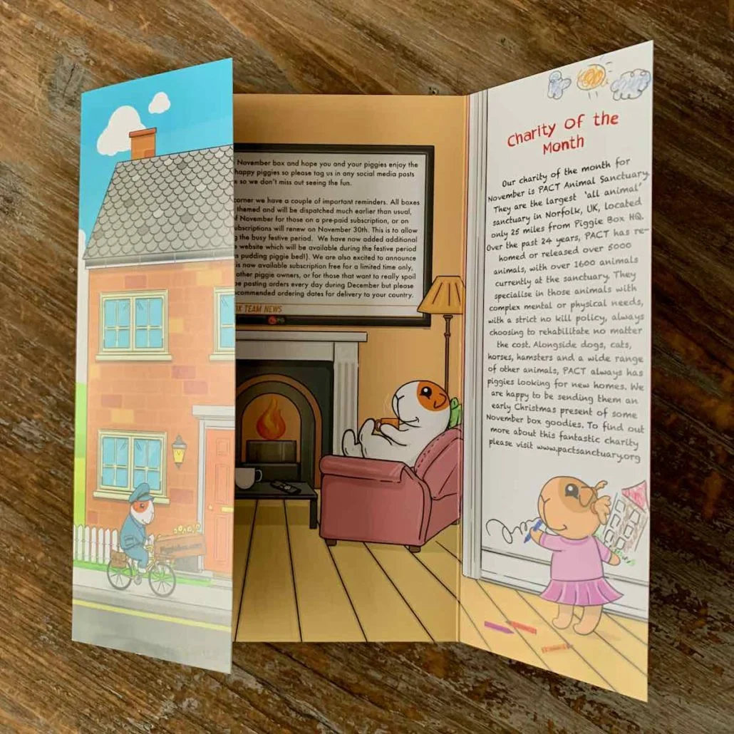 piggie box november 2020 review 5