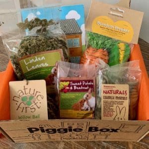 piggie box november 2020 review 7