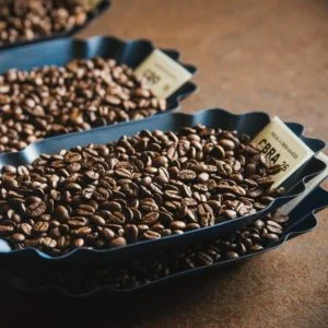 Peets-Coffee2