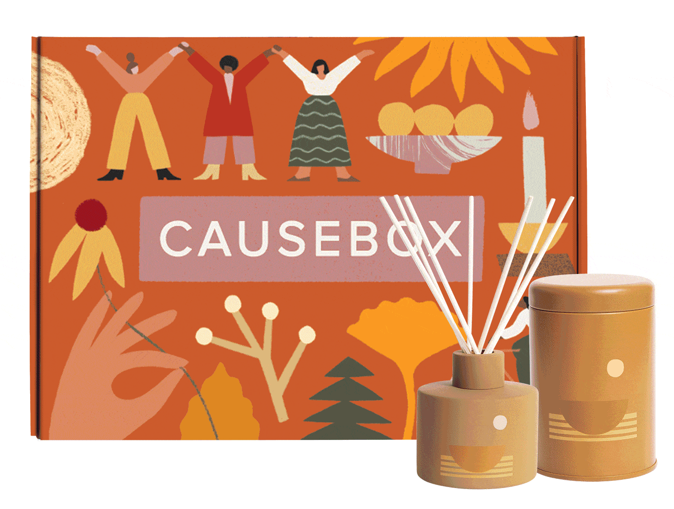 causebox intro box 1