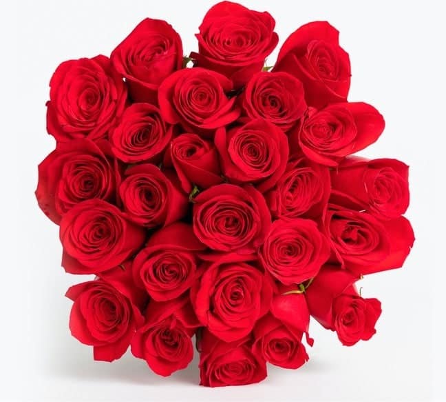 bloomsybox valentines day 2020 red roses