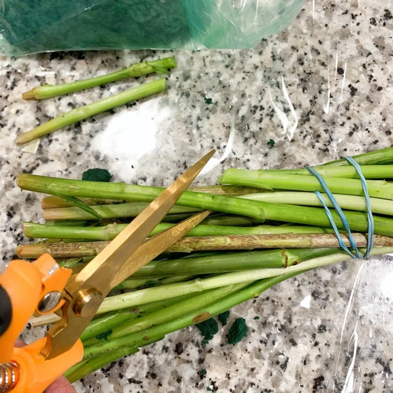 Hallmark flowers enjoy flowers review february 2021 14