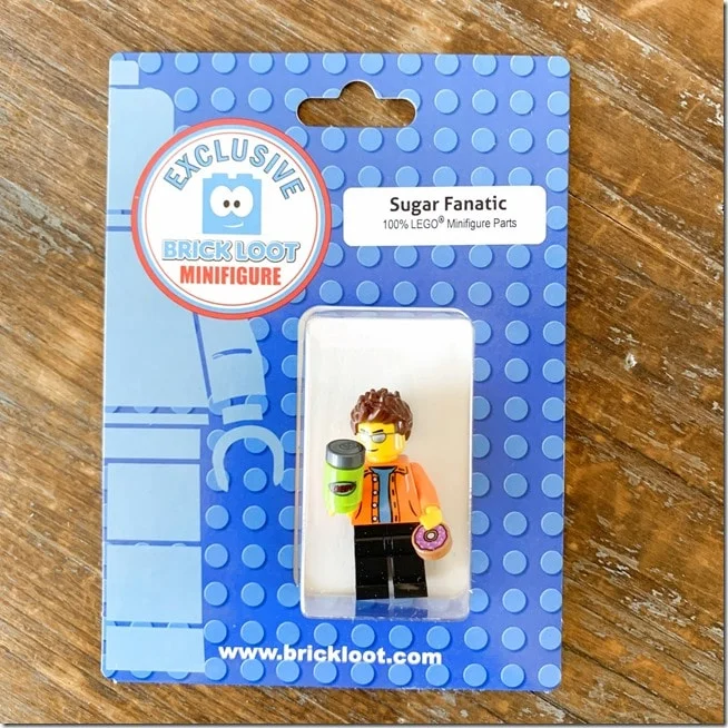 Brick Loot March 2021 Review 004