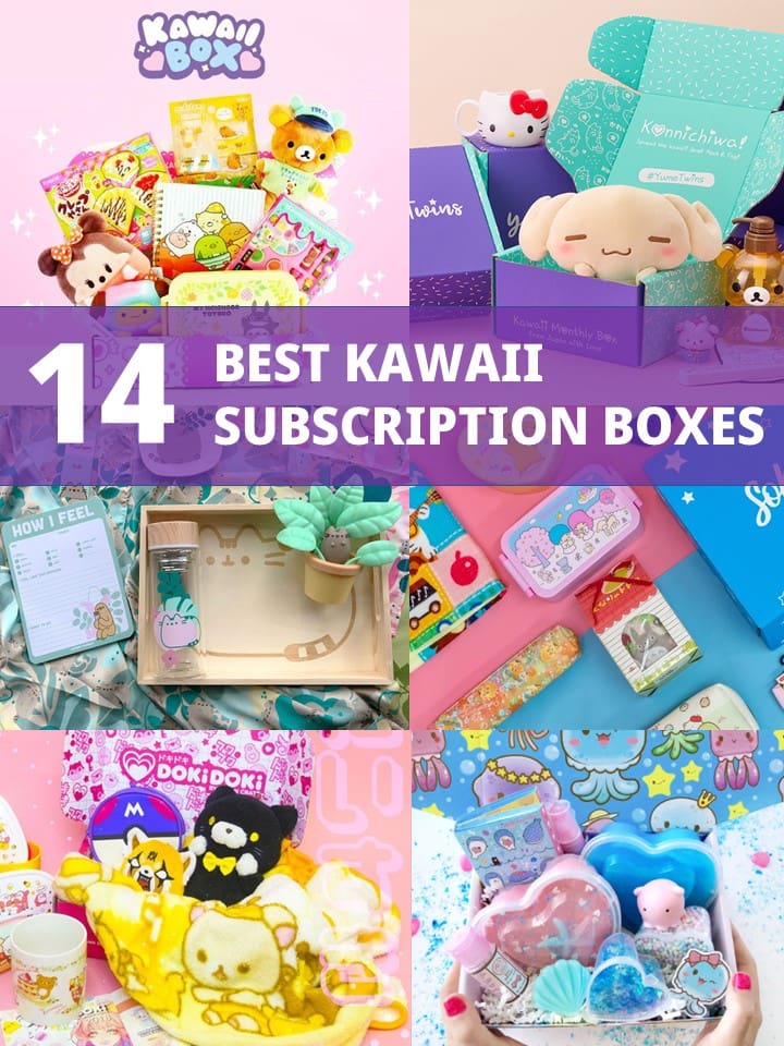 Kawaii Crate Kawaii Mystery Box from Japan!