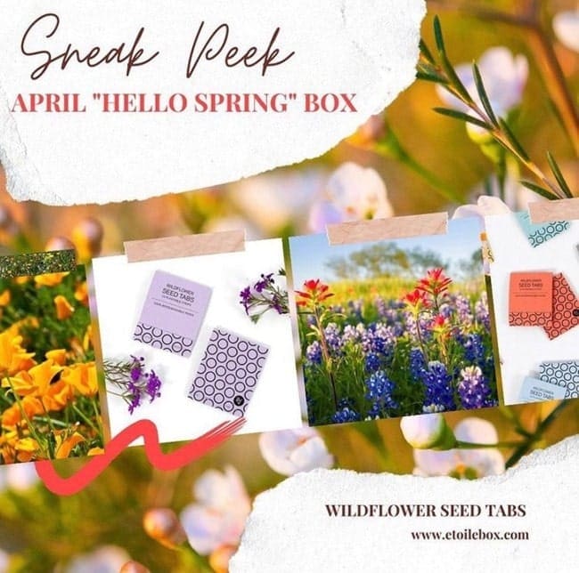 sneak peek hello spring april box