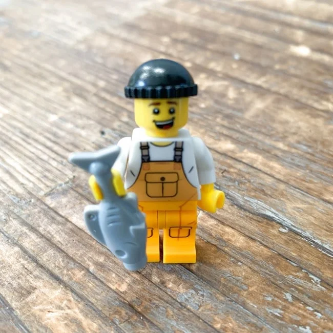 Brick Loot May 2021 Review 010