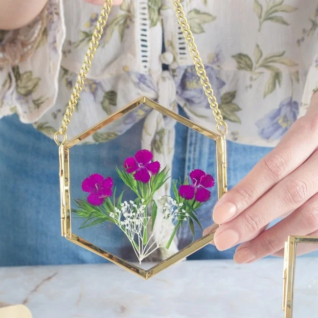 Double Glass Hexagonal Hanging Frame_4 Double Glass Hexagonal Hanging Frame_4
