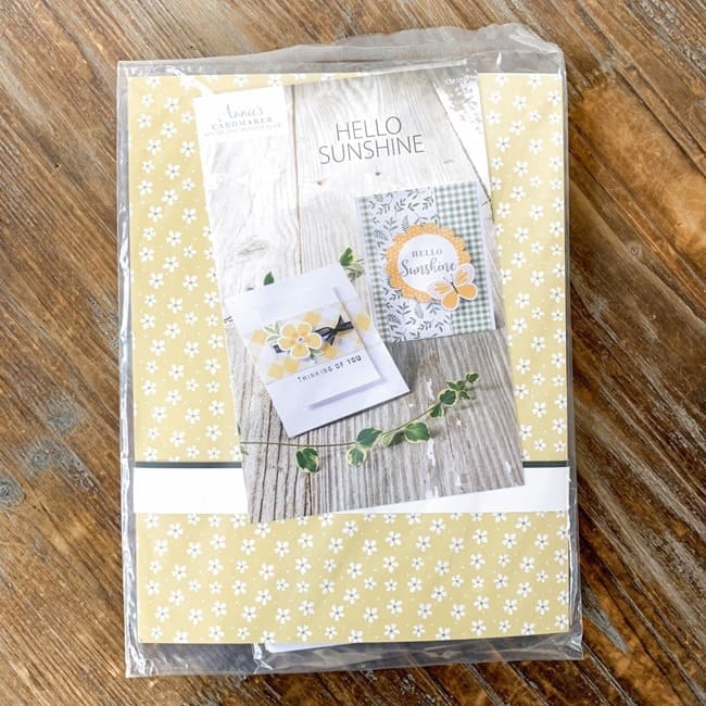 annies cardmaker club april 2021 review hello sunshine edition   coupon 011