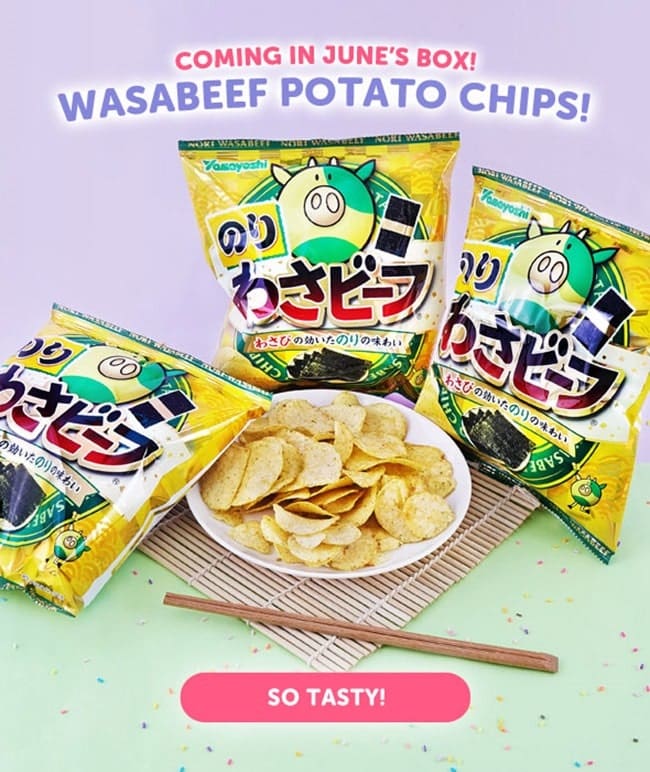 japan-candy-box-wasabeef-potato-chips