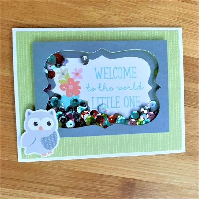 Annie's CardMaker Club May 2021 Review Coupon 010 Annie's CardMaker Club May 2021 Review Coupon 010