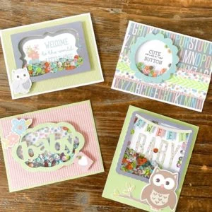 Annies CardMaker Club May 2021 Review Coupon 011