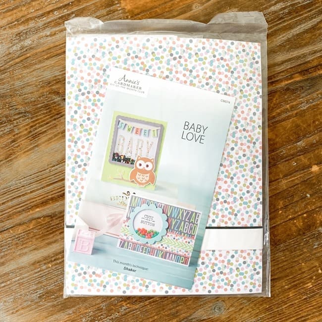 Annie's CardMaker Club May 2021 Review   Coupon 018