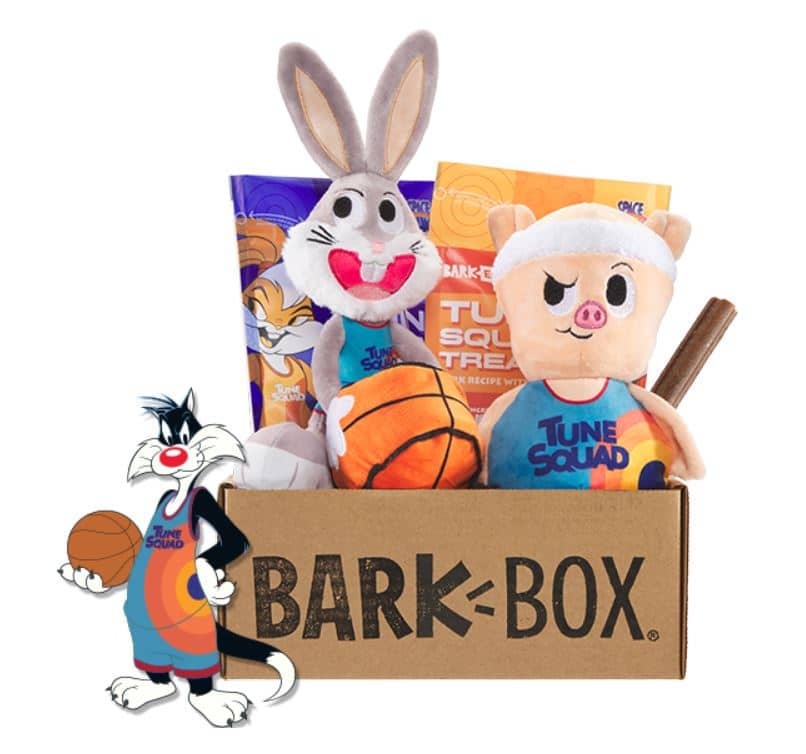 barkbox free lebron james toy with new space jam box