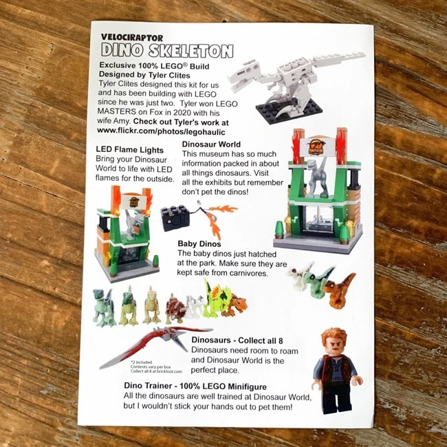 Brick Loot July 2021 Review   Coupon 00422