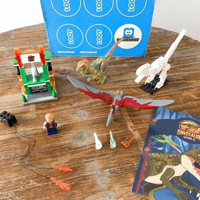Brick Loot July 2021 Review Coupon 010 1