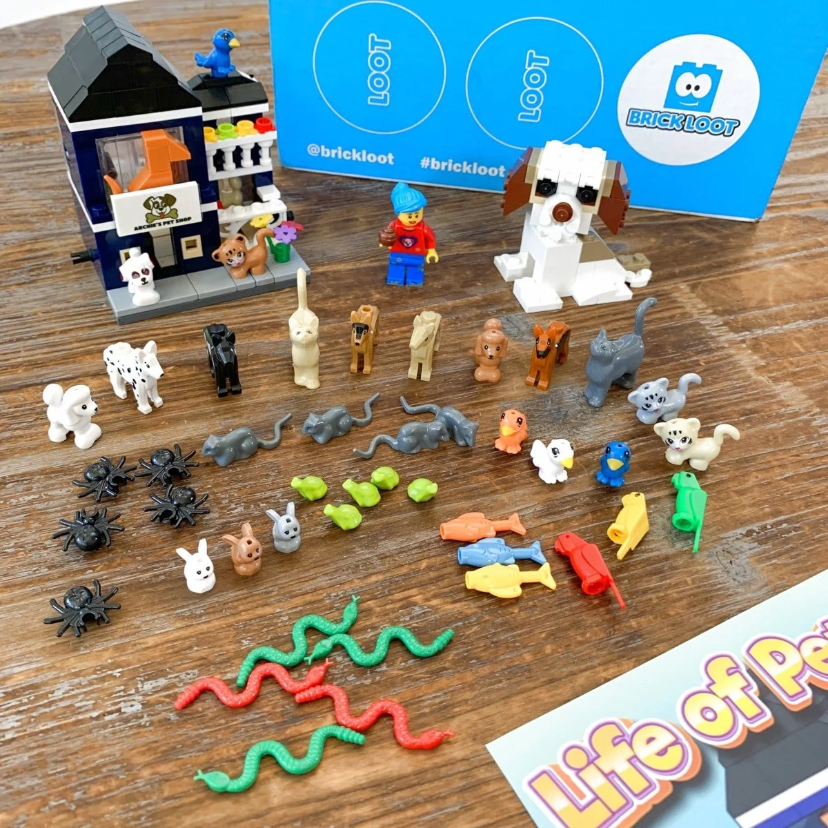 Brick Loot August 2021 Review 029