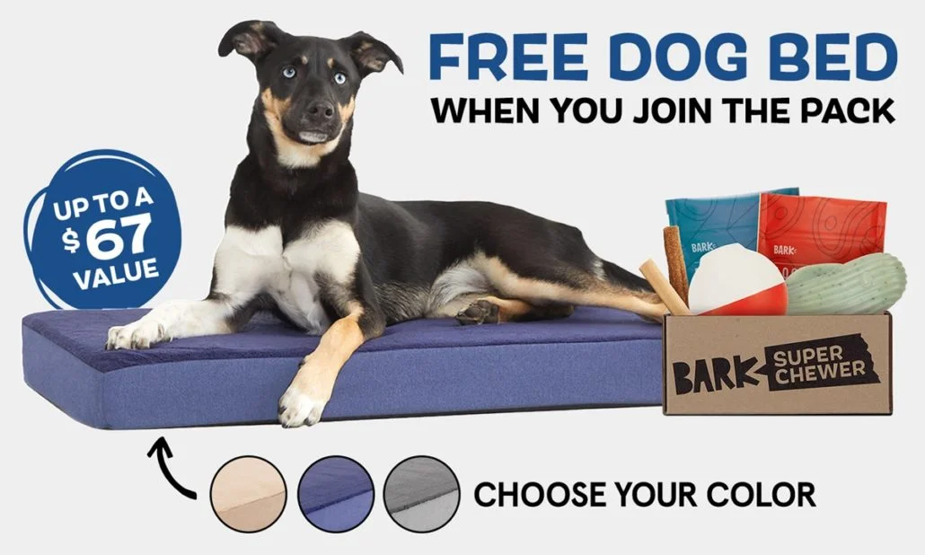 bark box cover